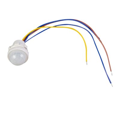 Interruptor de Luz con Sensor Automático LED PIR 110-240V AC
